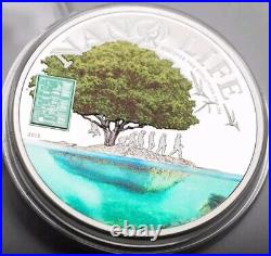 2015 Cook Islands Evolution Nano Chip 50g Silver Proof Coin with Mintage of 1000