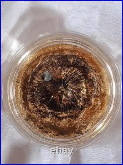 2017 Cook Islands Chergach Meteorite 1/2 oz. 999 Silver Coin