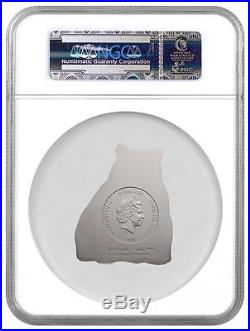 2017 Cook Islands Silver $20 Lucky Panda MS 70 ANTIQUED ER NGC Coin RARE