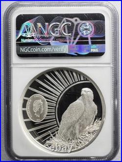 2023 Cook Islands $5 Birds of Prey Barn Owl NGC PF70 Ultra Cameo 2023 Cook Islands $5 Birds of Prey Barn Owl NGC PF70 Ultra Cameo
