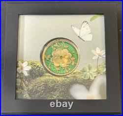 2025 1 Oz. 9999 Silver CIT Cook Islands Evergreen Clover Gold Gilded Silver Coin