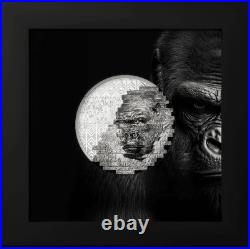 2 Oz Silver Coin 2025 Cook Islands Reconstruction Gorilla High Relief Proof