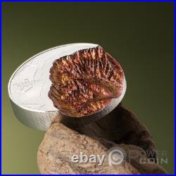 BRYCE CANYON Topography 5 Oz Silver Coin 25$ Cook Islands 2026