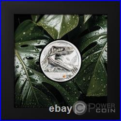 CARCHARODONTOSAURUS Jurassic Relics 1 Oz Silver Coin 5$ Cook Islands 2026