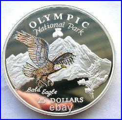 Cook 1996 National Park Eagle 25 Dollars 5oz Silver Coin, Proof