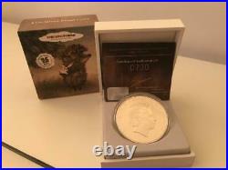 Cook Islands, 5 dollars, silver coins set, 5x1Oz, 2011,2013, Soyuzmultfilm