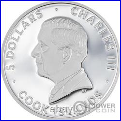 FLAMINGO Line Art 1 Oz Silver Coin 5$ Cook Islands 2026