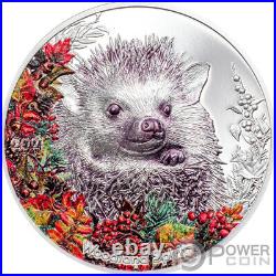 HEDGEHOG Woodland Spirit 1 Oz Silver Coin 500 Togrog Mongolia 2021