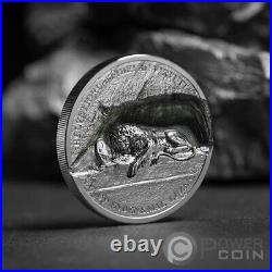 LION MONUMENT Lion of Lucerne 1 Oz Silver Coin 5$ Cook Islands 2024