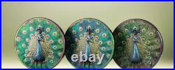Peacock spectrum. Cook Islands 5$ 2025.1 oz 99,99% silver coin LAST