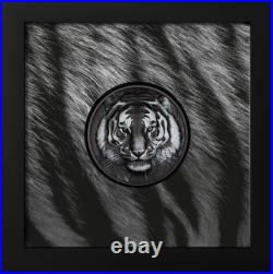 TIGER Black and White 1 Oz Silver Coin $5 Cook Islands 2025