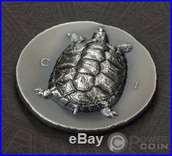 TORTOISE Turtle 1 Oz Silver Coin 5$ Cook Islands 2020