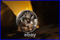 Thunder Dragon. Cook Islands 20$ 2026 3 oz 99,99% silver coin LAST