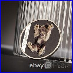 UNDER DOG Underlook 1 Oz Silver Coin 5$ Cook Islands 2025 UNDER DOG Underlook 1 Oz Silver Coin 5$ Cook Islands 2025